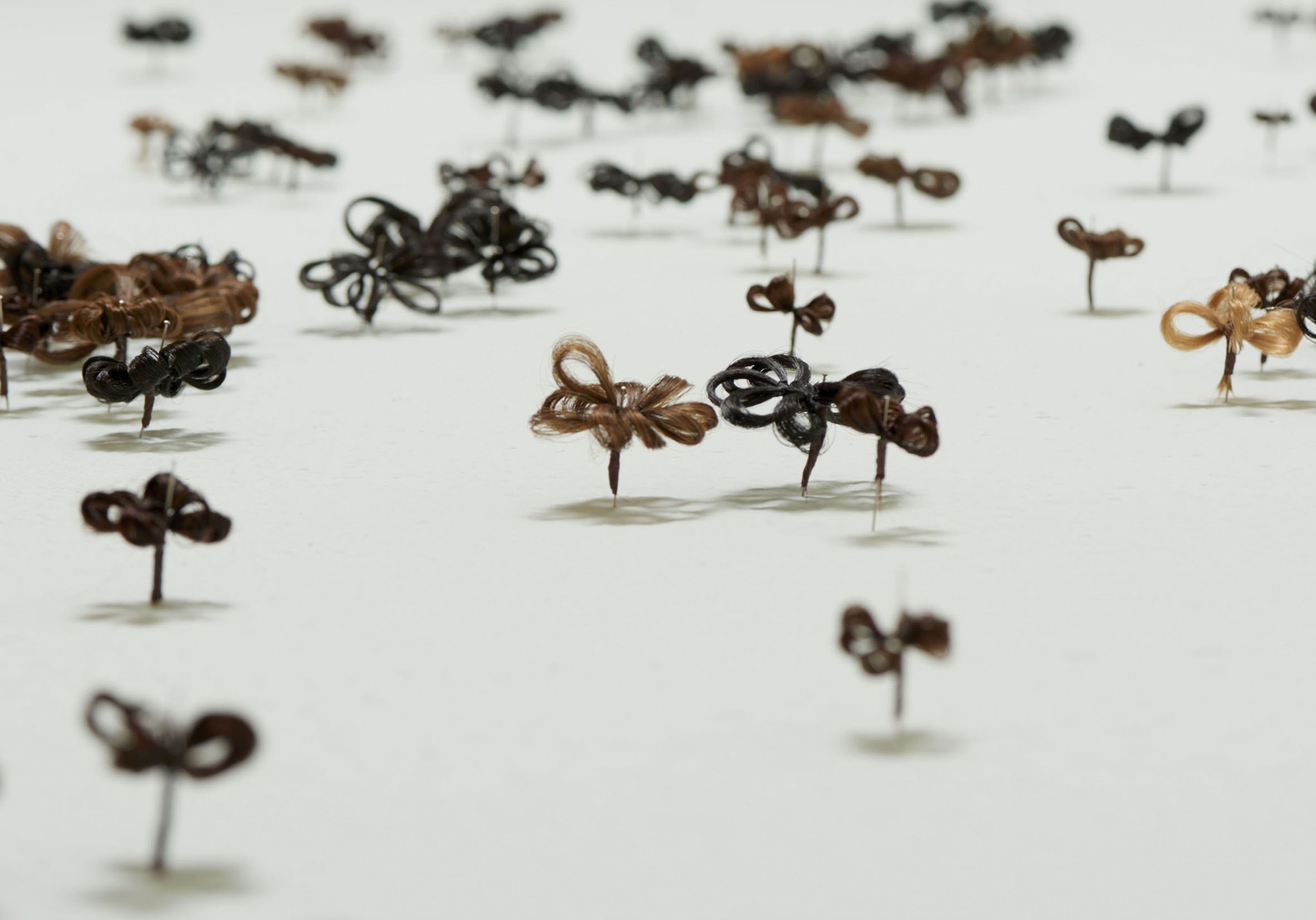 macrofleurs Lorna Bornand copie