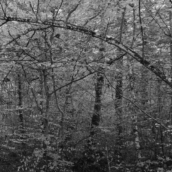 20-25-44-2-copyCopie-1-Exposure-Exposure-1-copie